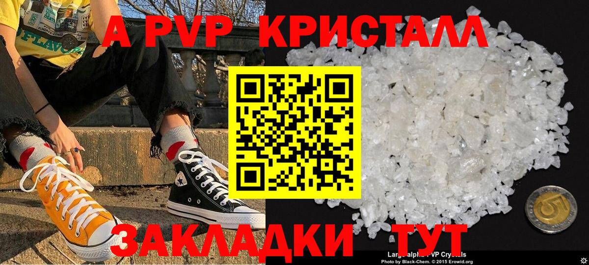 Alfa_PVP СК Пенза