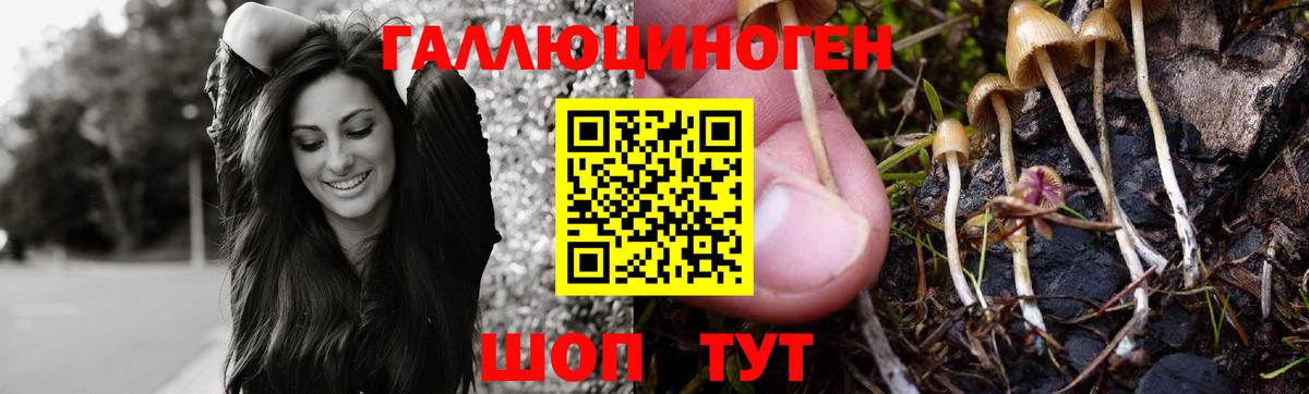 Галлюциногенные грибы Magic Shrooms  Вход с VPN  Галлюциногенные грибы Magic Shrooms  цены   Пенза 